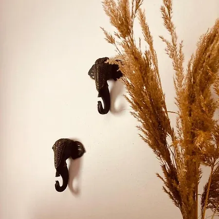 Vlami's House Andros