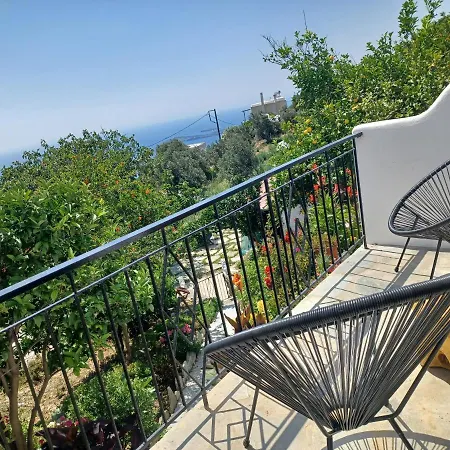 Vlami's House Andros Apartament