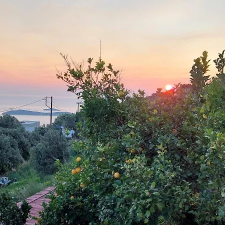 Vlami's House Andros Apartament Aprovaton