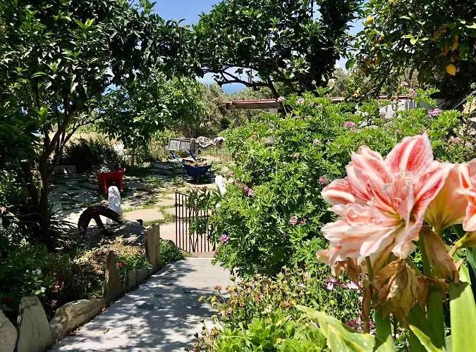 Vlami's House Andros Apartament *