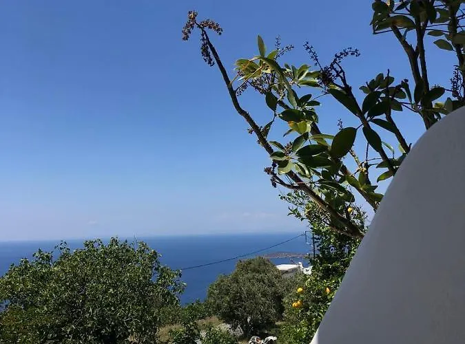 Vlami's House Andros Aprovaton