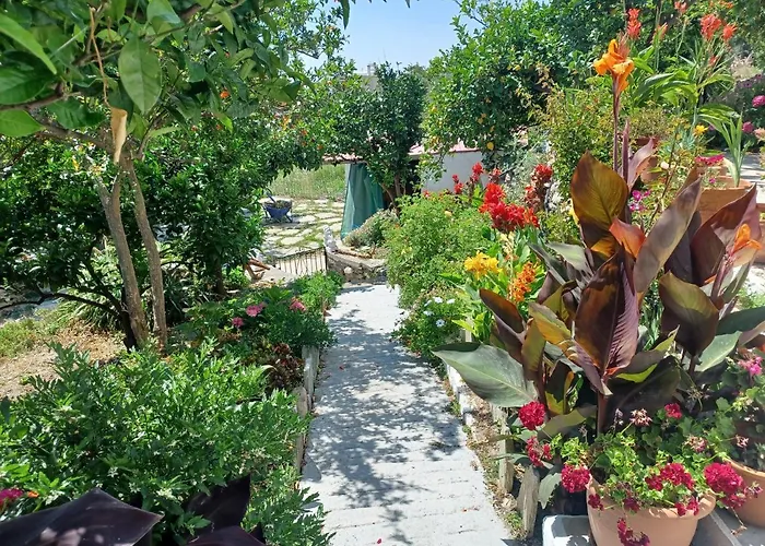 Apartament Vlami's House Andros