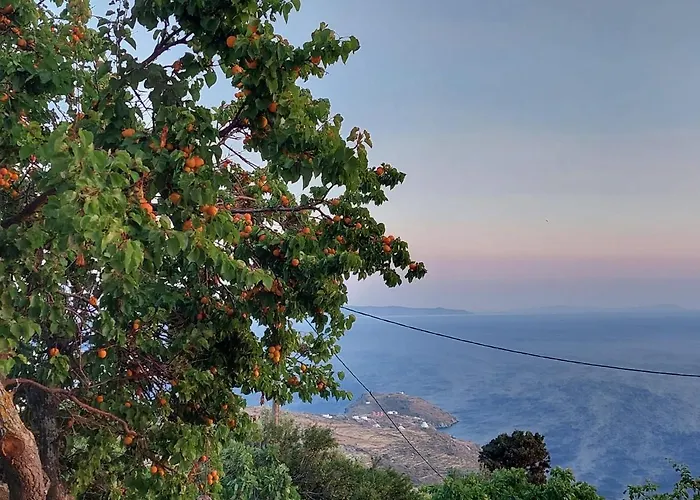 Vlami's House Andros Apartament *