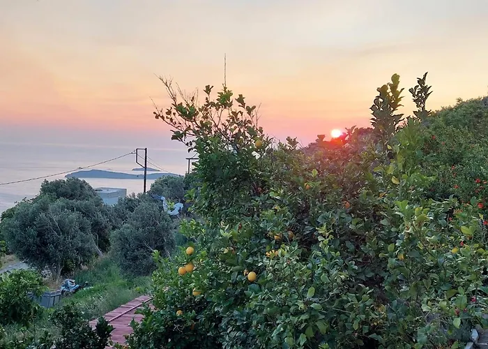 Vlami's House Andros Apartament Aprovaton