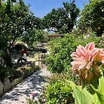 Vlami's House Andros Διαμέρισμα *