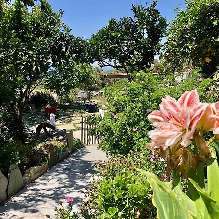 Vlami's House Andros Appartement *