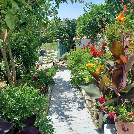 شقة Vlami's House Andros